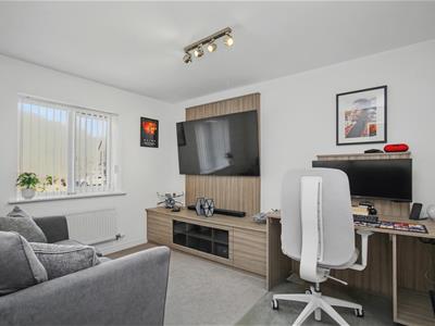 Picture 15